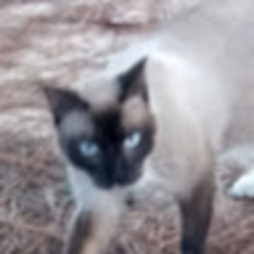 Meet your Posher, Stephanie